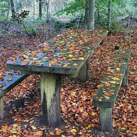 5 Person In Henne-by Traum Dom wakacyjny Henne Strand