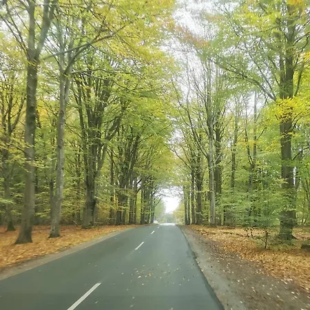 5 Person In Henne-by Traum Henne Strand