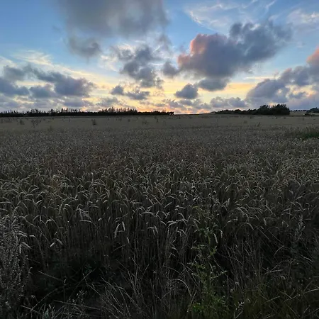 Σπίτι διακοπών 5 Person In Henne-by Traum