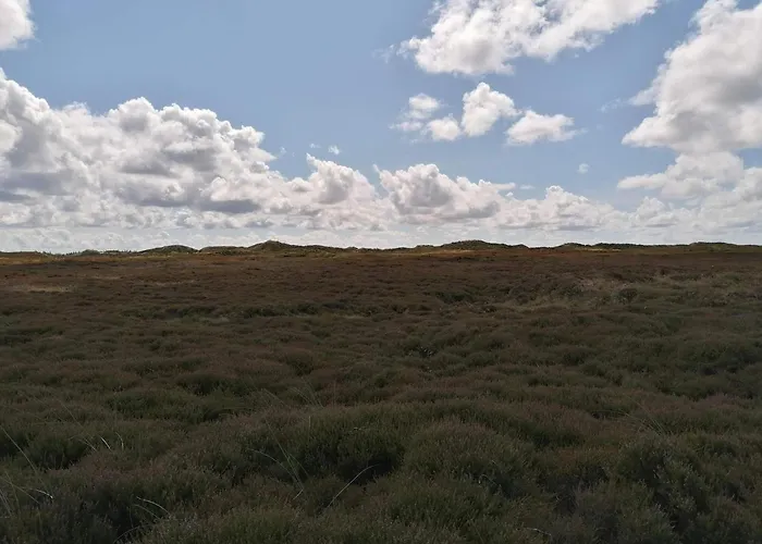 Dom wakacyjny 5 Person In Henne-by Traum *