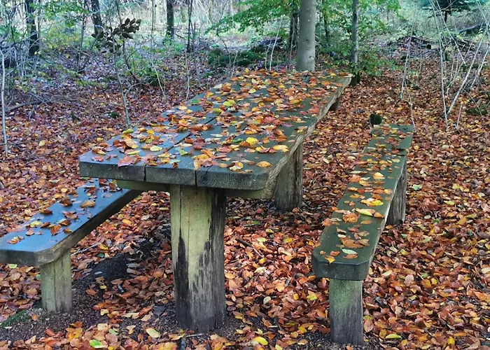 5 Person In Henne-by Traum Dom wakacyjny Henne Strand