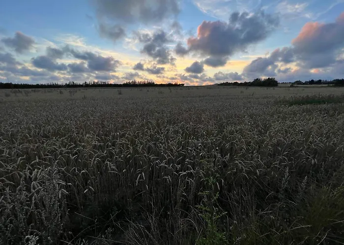 Dom wakacyjny 5 Person In Henne-by Traum